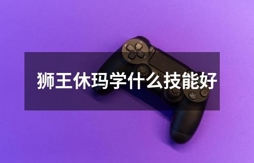 狮王休玛学什么技能好-第1张-游戏信息-龙启网