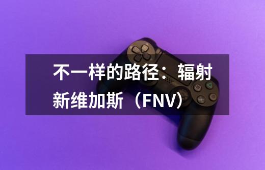 不一样的路径:辐射新维加斯(FNV)-第1张-游戏信息-龙启网