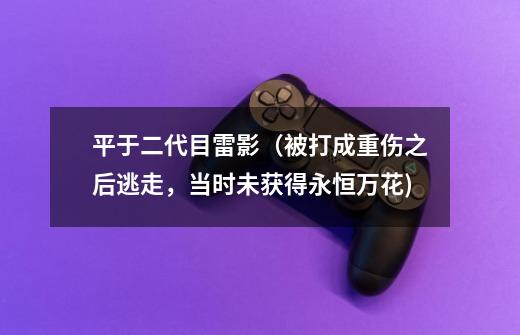 平于二代目雷影(被打成重伤之后逃走,当时未获得永恒万花)-第1张-游戏信息-龙启网