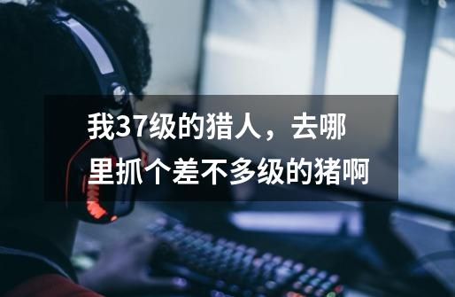 我37级的猎人，去哪里抓个差不多级的猪啊-第1张-游戏信息-龙启网