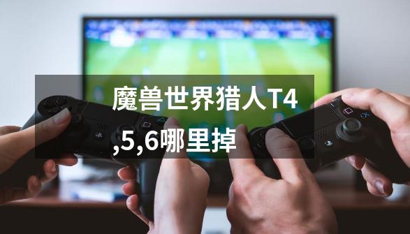 魔兽世界猎人T4,5,6哪里掉-第1张-游戏信息-龙启网