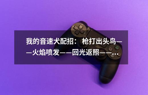 我的音速犬配招: 枪打出头鸟——火焰喷发——回光返照——大禹治水-第1张-游戏信息-龙启网