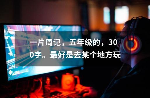 一片周记,五年级的,300字。最好是去某个地方玩-第1张-游戏信息-龙启网