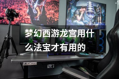 梦幻西游龙宫用什么法宝才有用的-第1张-游戏信息-龙启网