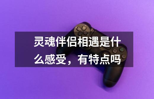 灵魂伴侣相遇是什么感受,有特点吗-第1张-游戏信息-龙启网