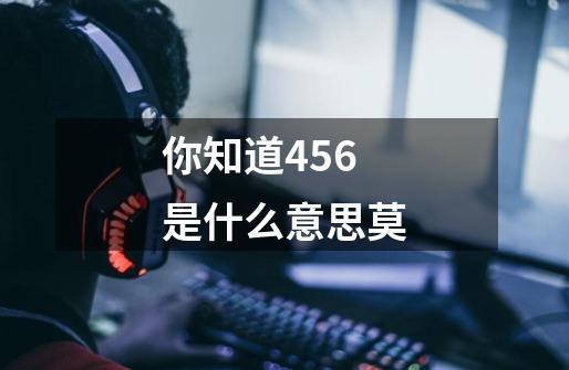 你知道456是什么意思莫-第1张-游戏信息-龙启网