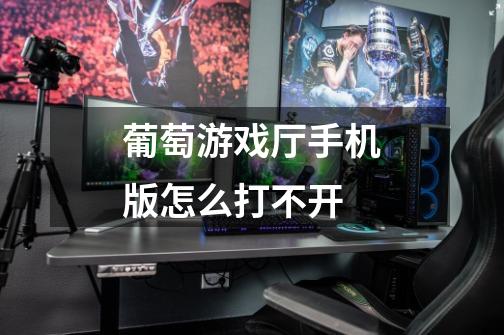 葡萄游戏厅手机版怎么打不开-第1张-游戏信息-龙启网