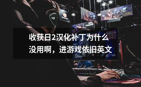 收获日2汉化补丁为什么没用啊，进游戏依旧英文-第1张-游戏信息-龙启网