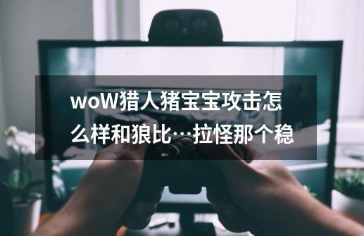 woW猎人猪宝宝攻击怎么样和狼比…拉怪那个稳-第1张-游戏信息-龙启网