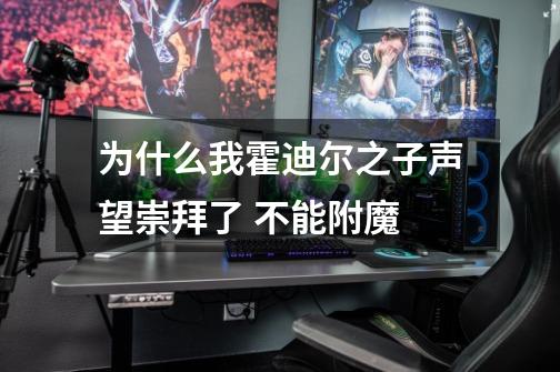 为什么我霍迪尔之子声望崇拜了 不能附魔-第1张-游戏信息-龙启网