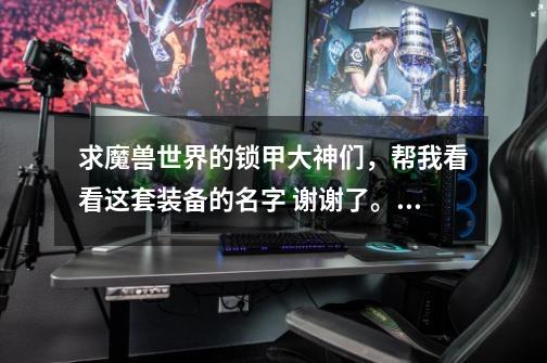 求魔兽世界的锁甲大神们，帮我看看这套装备的名字 谢谢了。希望说全哈。-第1张-游戏信息-龙启网