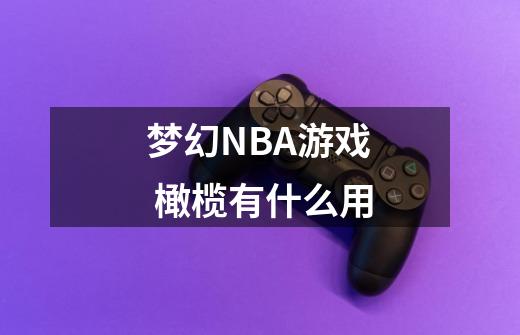 梦幻NBA游戏 橄榄有什么用-第1张-游戏信息-龙启网