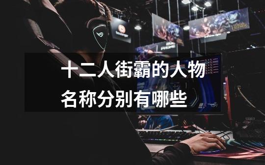 十二人街霸的人物名称分别有哪些-第1张-游戏信息-龙启网