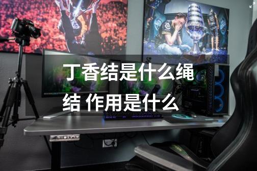 丁香结是什么绳结 作用是什么-第1张-游戏信息-龙启网