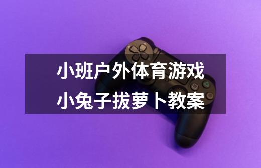 小班户外体育游戏小兔子拔萝卜教案-第1张-游戏信息-龙启网