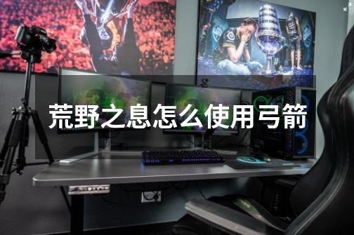 荒野之息怎么使用弓箭-第1张-游戏信息-龙启网