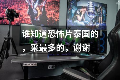 谁知道恐怖片泰国的，采最多的，谢谢-第1张-游戏信息-龙启网