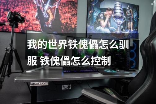 我的世界铁傀儡怎么驯服 铁傀儡怎么控制-第1张-游戏信息-龙启网