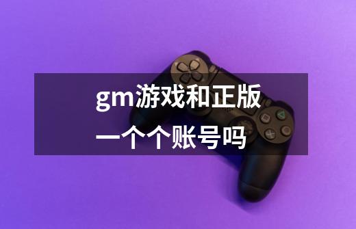 gm游戏和正版一个个账号吗-第1张-游戏信息-龙启网