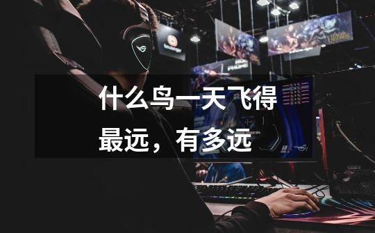 什么鸟一天飞得最远,有多远-第1张-游戏信息-龙启网