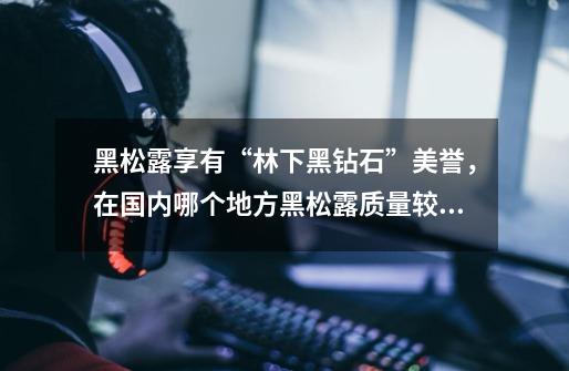 黑松露享有“林下黑钻石”美誉，在国内哪个地方黑松露质量较好-第1张-游戏信息-龙启网