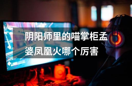 阴阳师里的喵掌柜孟婆凤凰火哪个厉害-第1张-游戏信息-龙启网