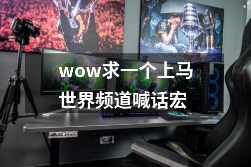 wow求一个上马世界频道喊话宏-第1张-游戏信息-龙启网