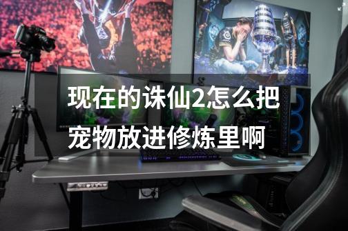 现在的诛仙2怎么把宠物放进修炼里啊-第1张-游戏信息-龙启网