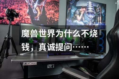 魔兽世界为什么不烧钱,真诚提问……-第1张-游戏信息-龙启网