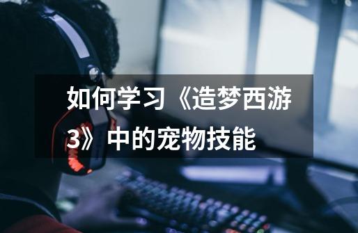 如何学习《造梦西游3》中的宠物技能-第1张-游戏信息-龙启网