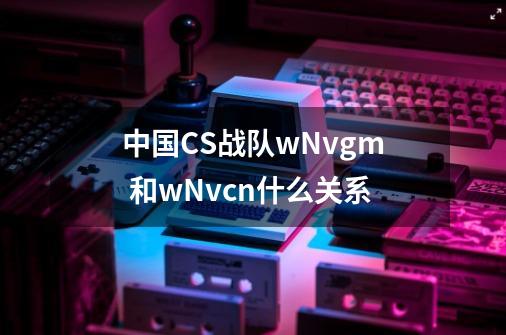 中国CS战队wNv.gm 和wNv.cn什么关系-第1张-游戏信息-龙启网