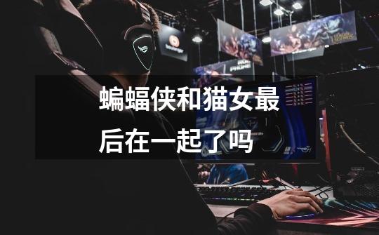 蝙蝠侠和猫女最后在一起了吗-第1张-游戏信息-龙启网