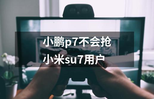 小鹏p7不会抢小米su7用户-第1张-游戏信息-龙启网