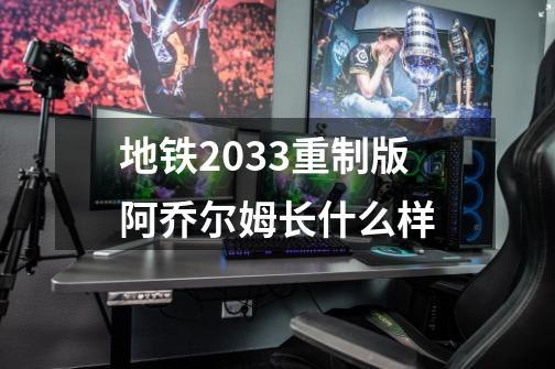 地铁2033重制版阿乔尔姆长什么样-第1张-游戏信息-龙启网