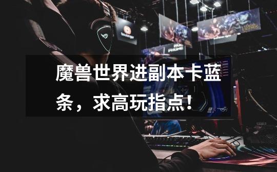 魔兽世界进副本卡蓝条，求高玩指点！-第1张-游戏信息-龙启网