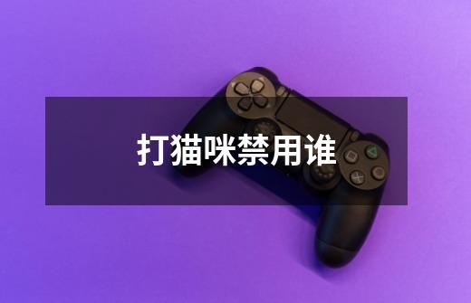 打猫咪禁用谁-第1张-游戏信息-龙启网
