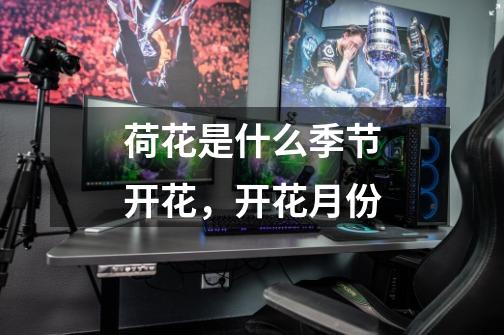 荷花是什么季节开花,开花月份-第1张-游戏信息-龙启网