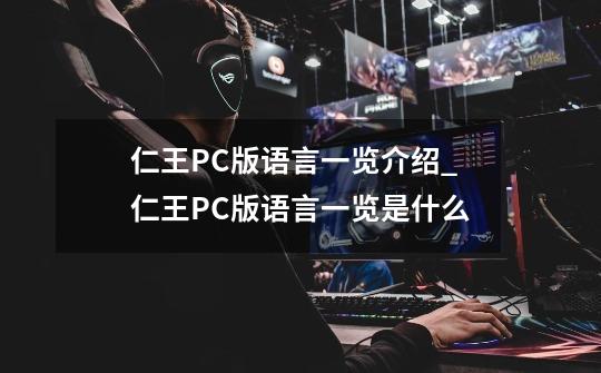仁王PC版语言一览介绍_仁王PC版语言一览是什么-第1张-游戏信息-龙启网