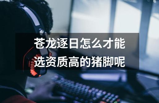 苍龙逐日怎么才能选资质高的猪脚呢-第1张-游戏信息-龙启网