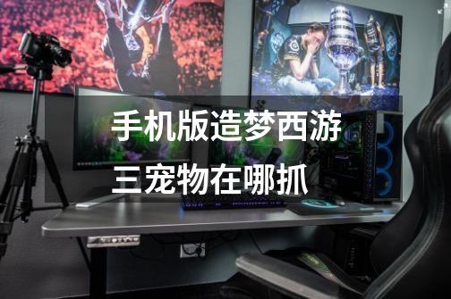 手机版造梦西游三宠物在哪抓-第1张-游戏信息-龙启网