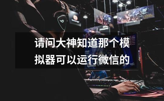 请问大神知道那个模拟器可以运行微信的-第1张-游戏信息-龙启网