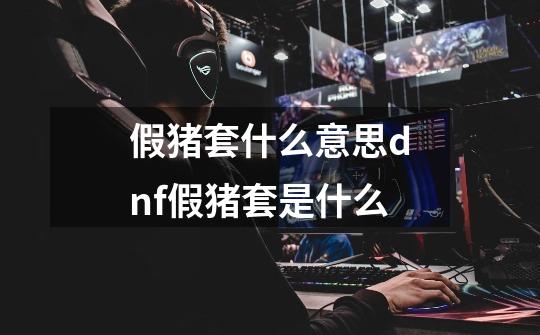 假猪套什么意思dnf假猪套是什么-第1张-游戏信息-龙启网
