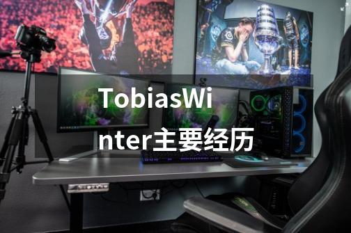 TobiasWinter主要经历-第1张-游戏信息-龙启网