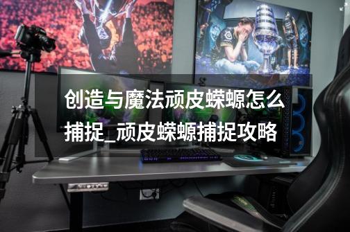 创造与魔法顽皮蝾螈怎么捕捉_顽皮蝾螈捕捉攻略-第1张-游戏信息-龙启网