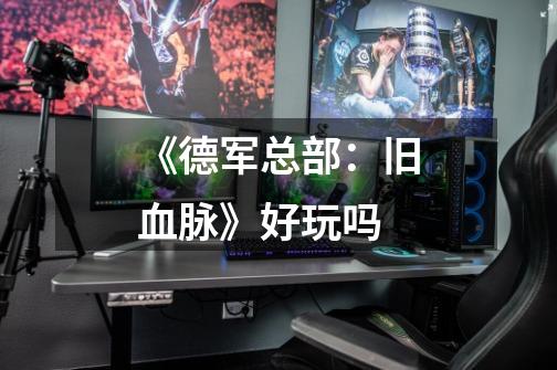 《德军总部:旧血脉》好玩吗-第1张-游戏信息-龙启网