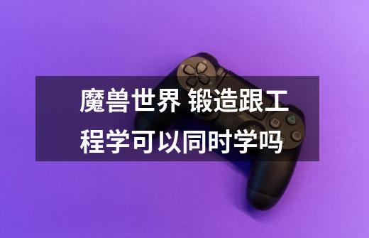 魔兽世界 锻造跟工程学可以同时学吗-第1张-游戏信息-龙启网