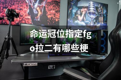 命运冠位指定fgo拉二有哪些梗-第1张-游戏信息-龙启网
