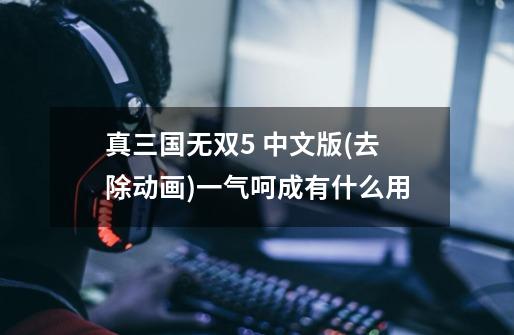 真三国无双5 中文版(去除动画)一气呵成有什么用-第1张-游戏信息-龙启网