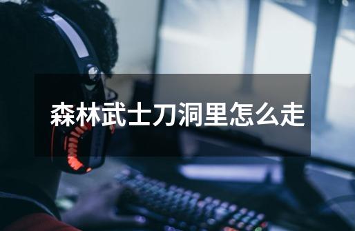 森林武士刀洞里怎么走-第1张-游戏信息-龙启网