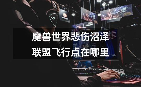 魔兽世界悲伤沼泽联盟飞行点在哪里-第1张-游戏信息-龙启网